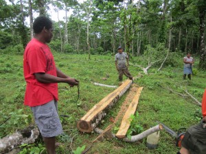 Cutting wood for homes in Rama Territory